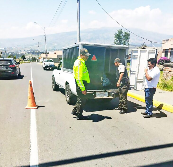 Cinco Choferes Conducían En Estado Etílico   El Heraldo