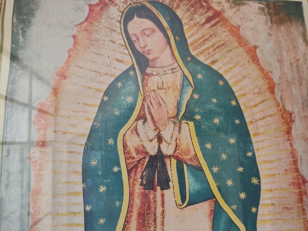 Devoción A La Virgen Guadalupana Se Mantiene El Heraldo