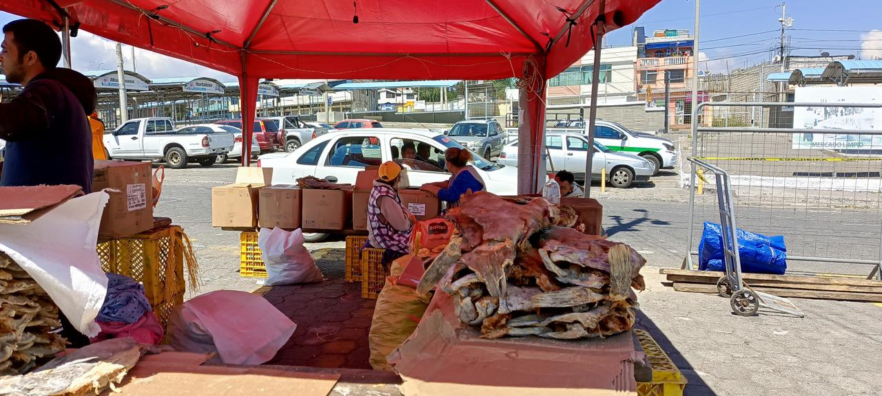 Feria de Semana Santa lista - El Heraldo